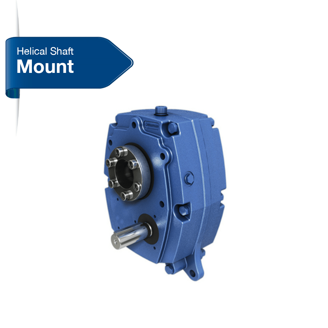 Gear and Gear Motors